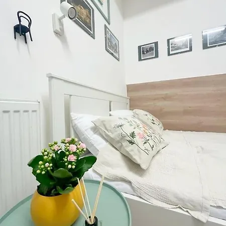 Republicii Small Apartment Cluj-Napoca