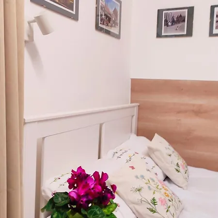 Apartment Republicii Small *