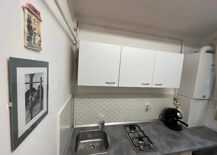 Apartment Republicii Small