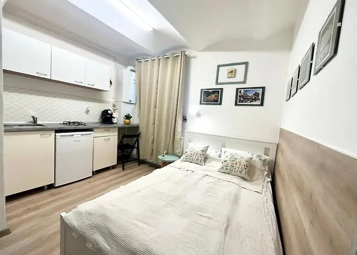 Republicii Small Daire