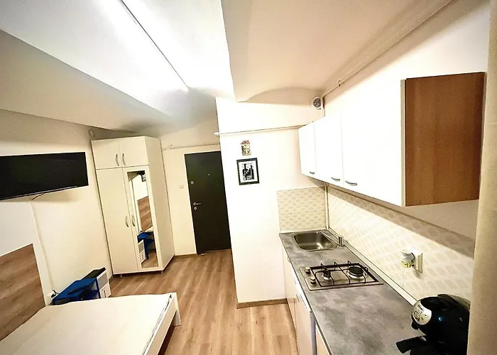 Apartment Republicii Small *