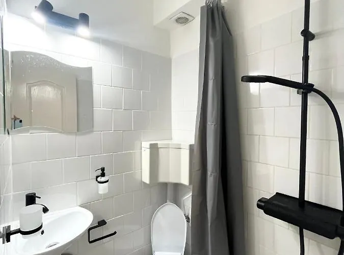 Apartment Republicii Small *