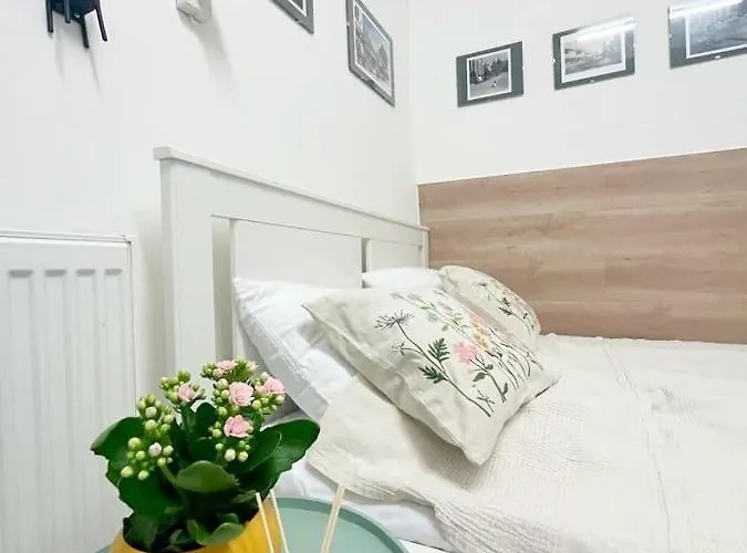 Republicii Small Apartment Cluj-Napoca